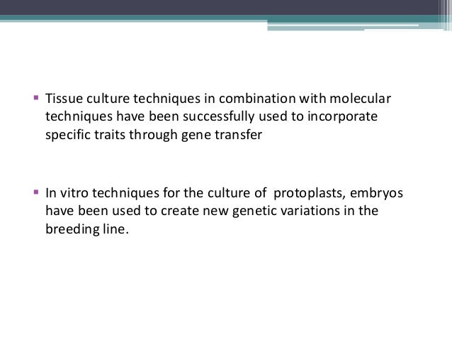 application of embryo culture in plants