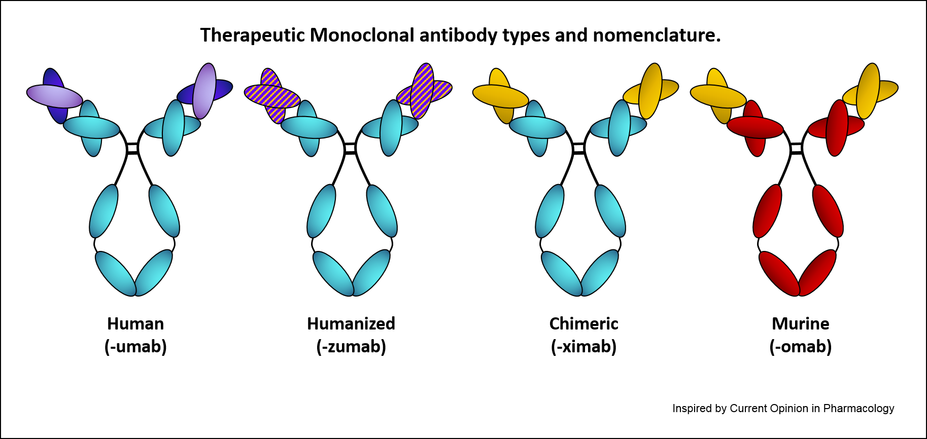 application of monoclonal antibodies in clinical diagnosis