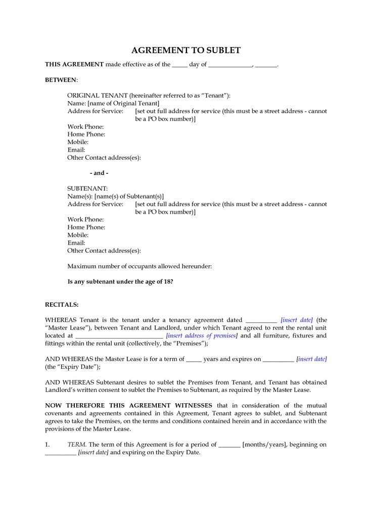 job application letter template nz