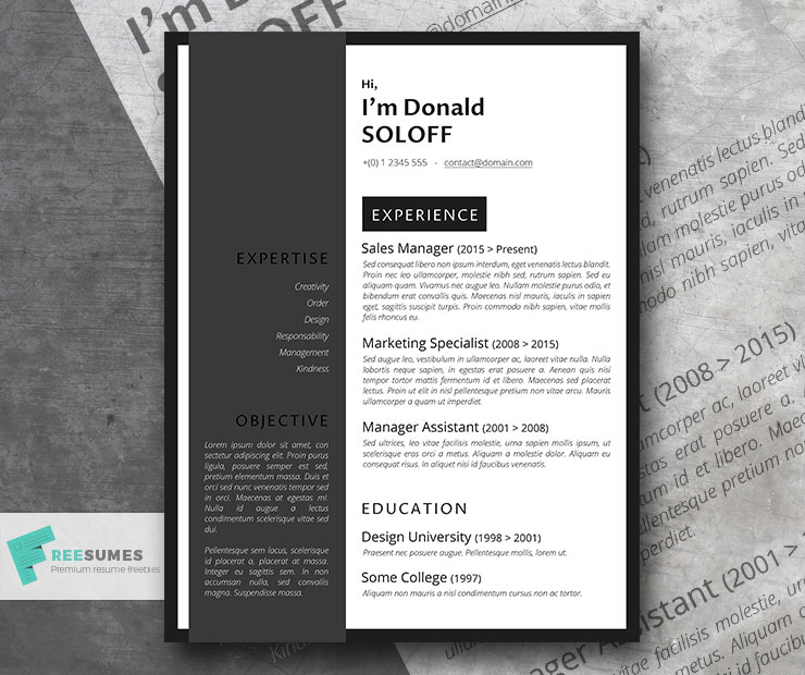 professional job application cover letter examples