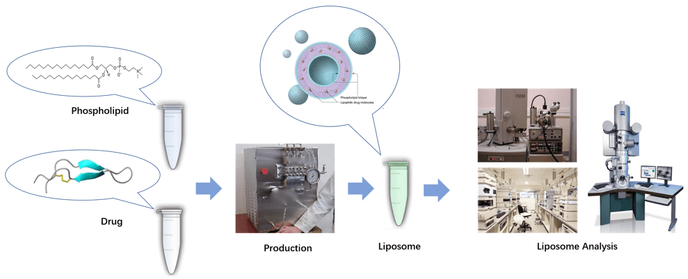 application of liposomes in cosmetics