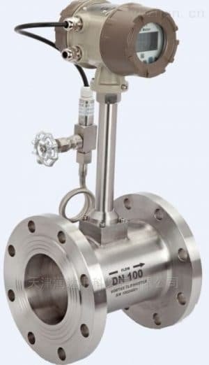 vortex flow meter for steam application