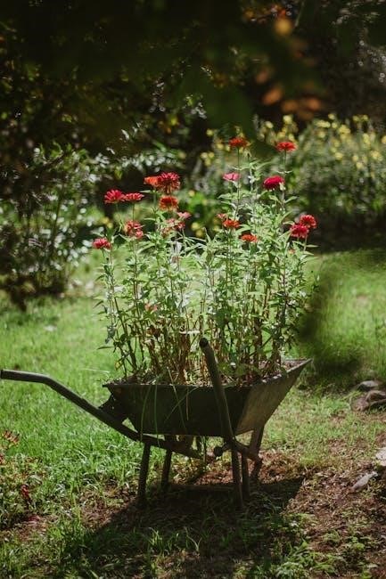 the red wheelbarrow pdf